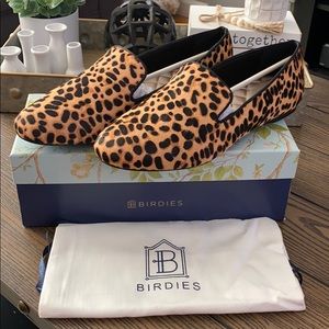 New Birdies - The Starling